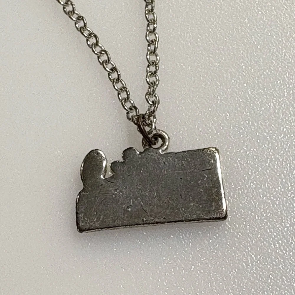 Big Sister Flower Accent 15” Silver Tone Necklace